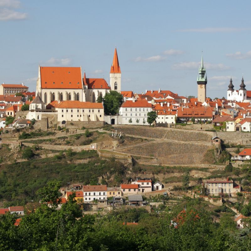 Adam Plachetka se vrací do Znojma